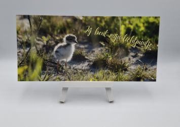 Greetingcard summer