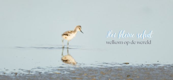 Greetingcard summer
