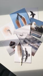 set of 9 greetingcards