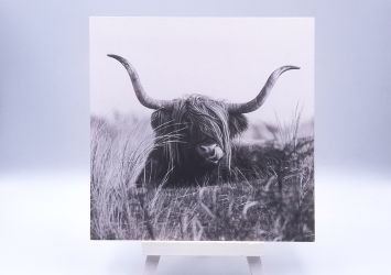 Greetingcard Scottish vlielander