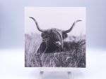 Greetingcard Scottish vlielander