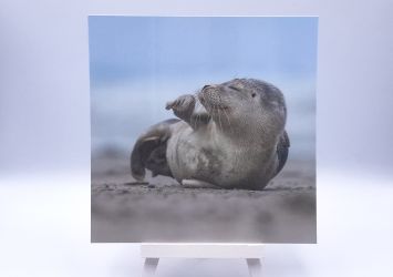 Greetingcard Chill