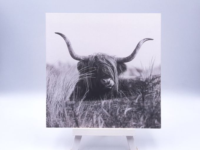 Greetingcard Scottish vlielander
