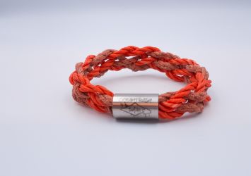 Clownfish DeLuxe