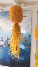 Jellyfish