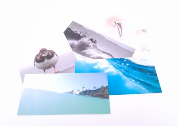 set of 5