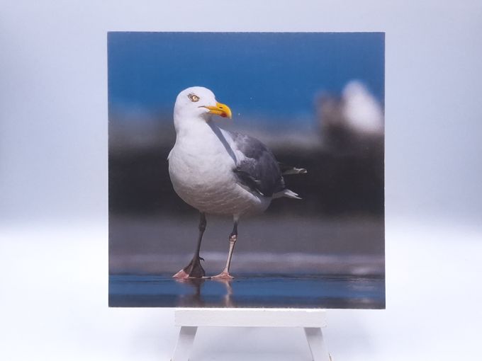 Greetingcard Silver