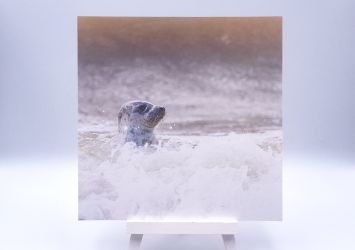 Greetingcard Aware