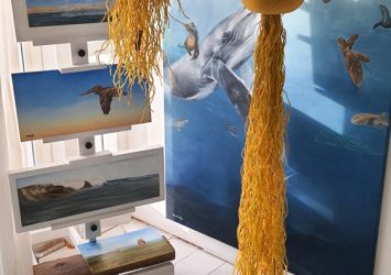 Jellyfish