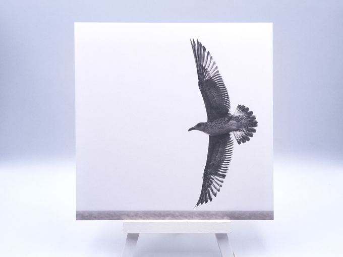 Greetingcard Free as a bird