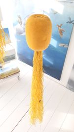 Jellyfish