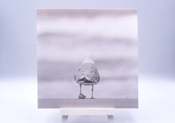 Greetingcard Steppin away