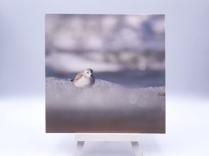 Greetingcard Foam party