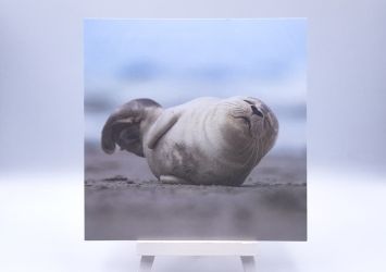 Greetingcard Stretching