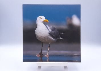 Greetingcard Silver