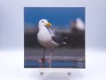 Greetingcard Silver