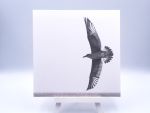 Greetingcard Free as a bird