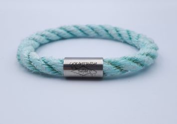 Pacific pearl Parrotfish