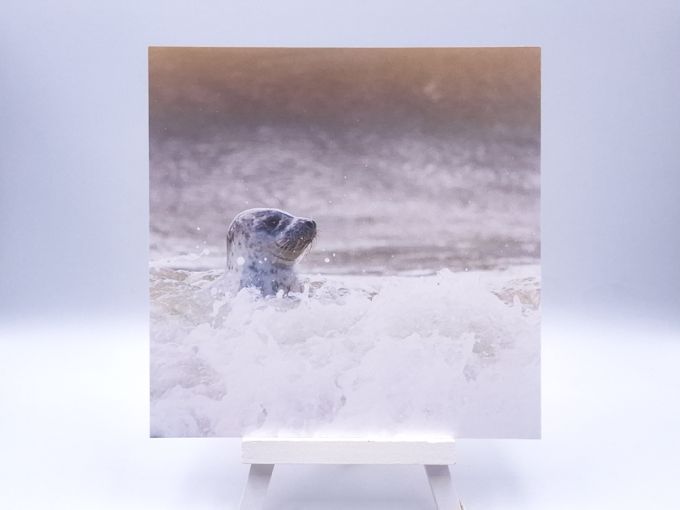 Greetingcard Aware