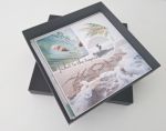 set of 8 surfcards