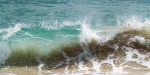Sandy shoreline