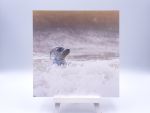 Greetingcard Aware