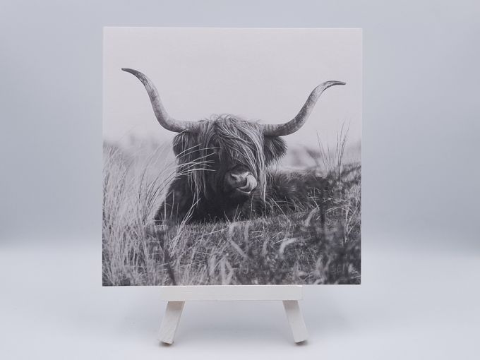 Ansichtkaart Scottish vlielander