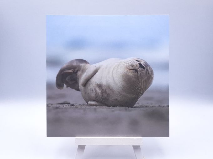 Greetingcard Stretching