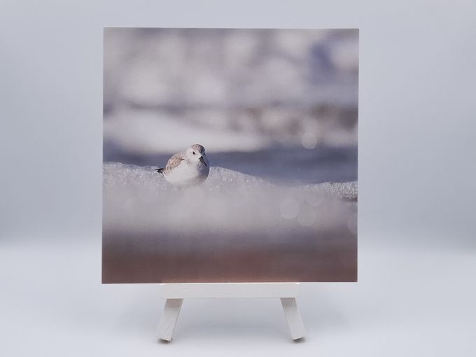 Ansichtkaart Foam party