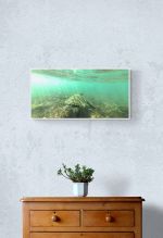 Honu