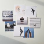 set of 9 greetingcards