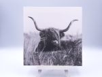 Greetingcard Scottish vlielander