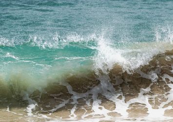 Sandy shoreline