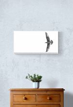 Free as a bird