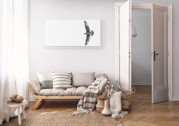 Free as a bird