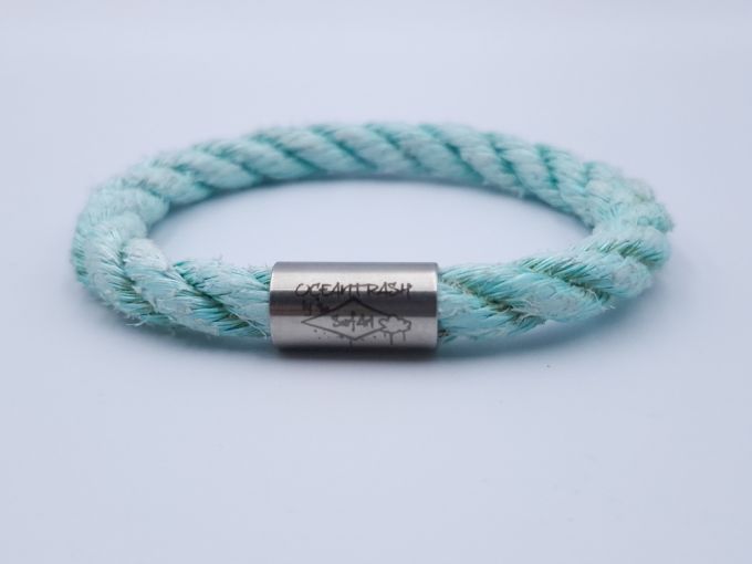 Pacific pearl Parrotfish